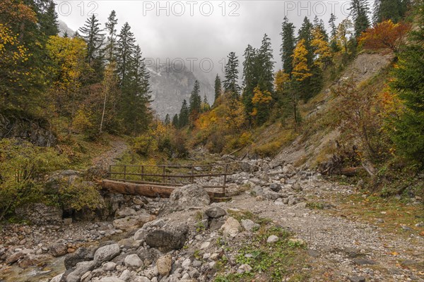 Fog in the Karwendel nature park Park