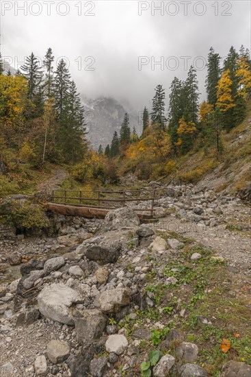 Fog in the Karwendel nature park Park