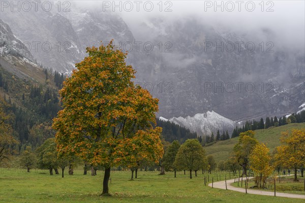 Early morning fog in the Karwendel nature park Park