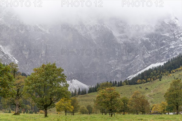 Early morning fog in the Karwendel nature park Park