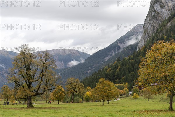 Early morning fog in the Karwendel nature park Park