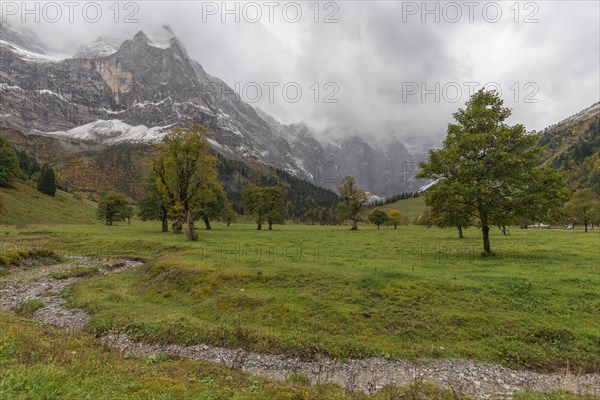 Early morning fog in the Karwendel nature park Park