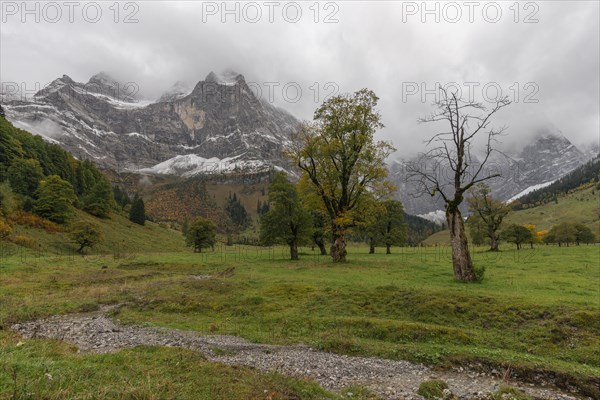 Early morning fog in the Karwendel nature park Park