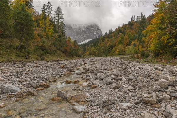 Early morning fog in the Karwendel nature park Park in Engtal