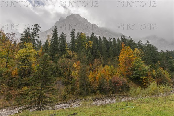 Early morning fog in the Karwendel nature park Park in Engtal