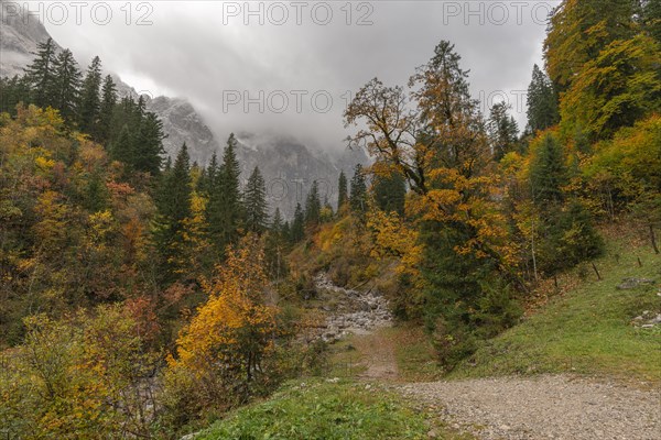 Early morning fog in the Karwendel nature park Park in Engtal