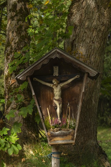 Wayside cross on the Eggalm hike to Tux-Vorderlanersbach