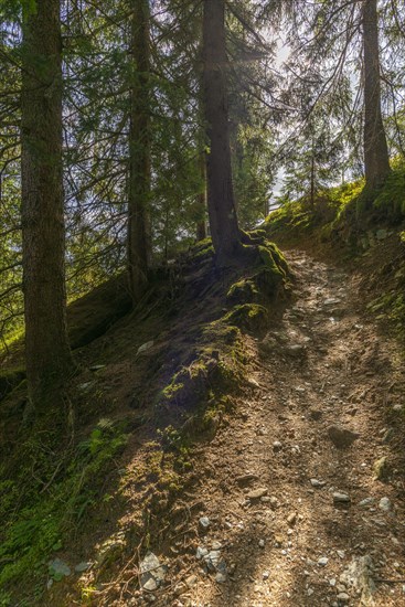 Hike Eggalm to Tux-Vorderlanersbach