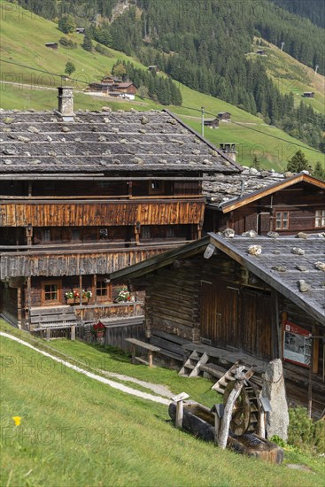 Historic farmhouses in the hamlet of Gemais