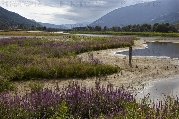 Bleistaetter Moor European nature reserve