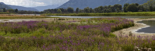 Bleistaetter Moor European nature reserve