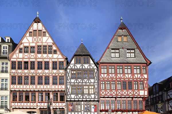 Colorful Half-timbered houses in Roemerberg square