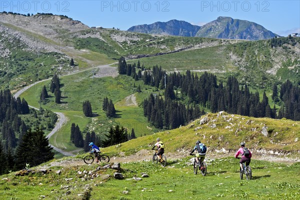 A group of mountain bikers on an alpine descent in the Chablais Geopark