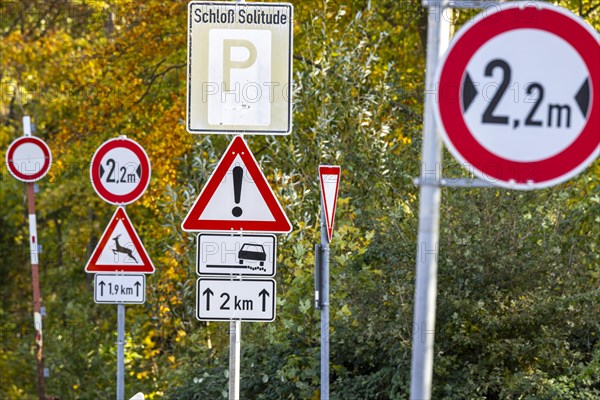 Signpost forest