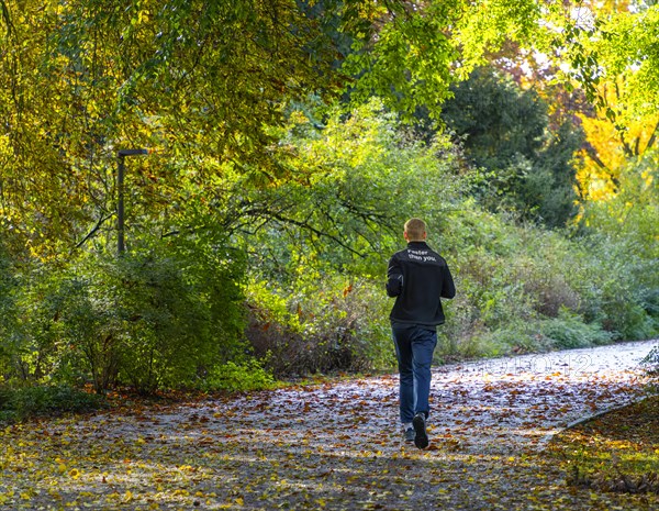 Autumn in the park