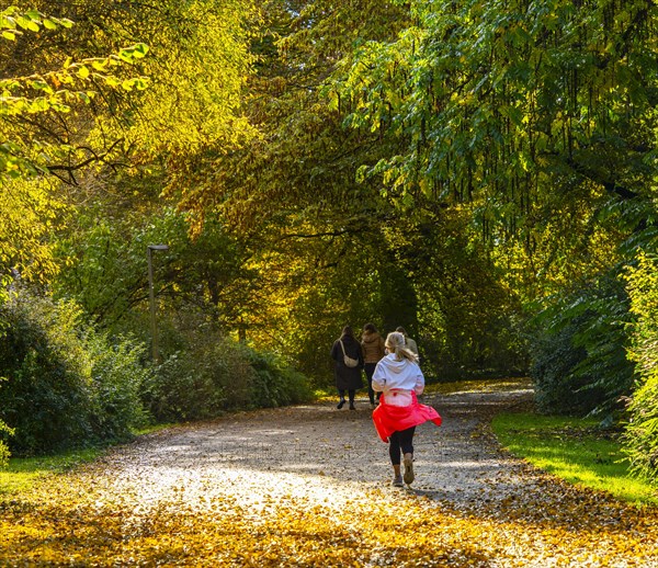 Autumn in the park