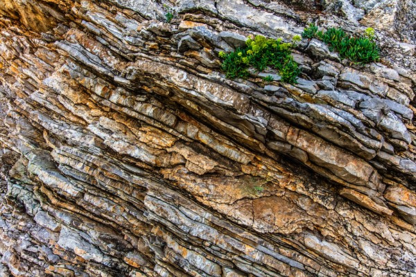 Rocks on the narrow path to Mogen beach