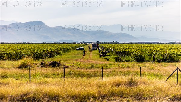 Wine-growing region