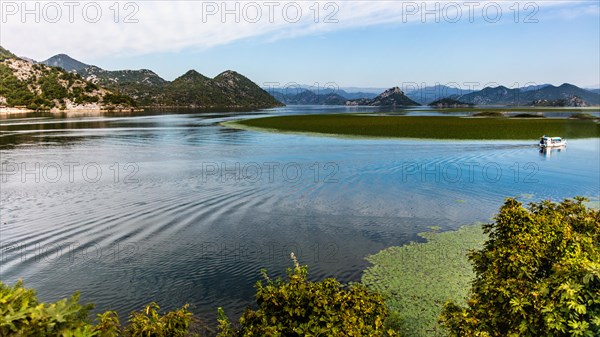 Natural paradise and national park Lake Scutari