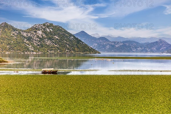 Natural paradise and national park Lake Scutari