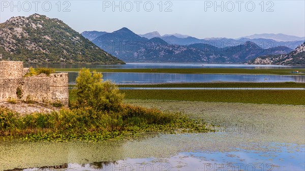 Natural paradise and national park Lake Scutari