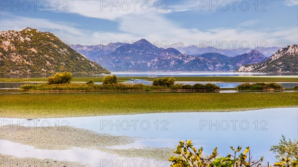 Natural paradise and national park Lake Scutari