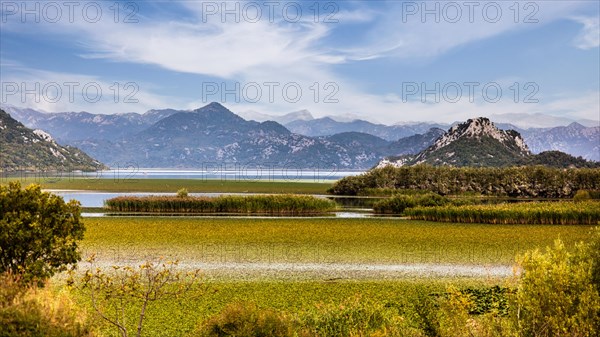 Natural paradise and national park Lake Scutari