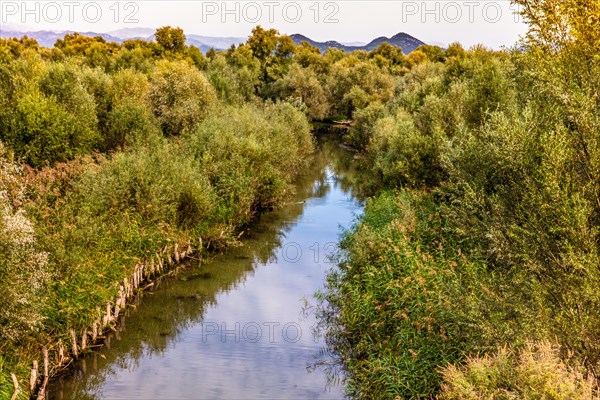 Natural paradise and national park Lake Scutari