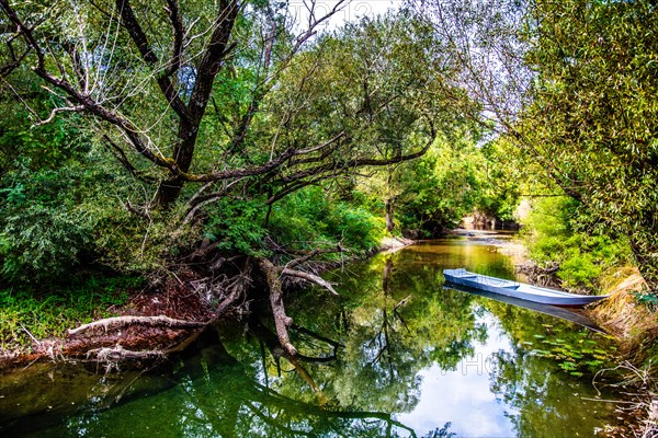 Natural paradise and national park Lake Scutari