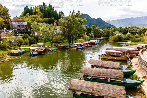 Natural paradise and national park Lake Scutari