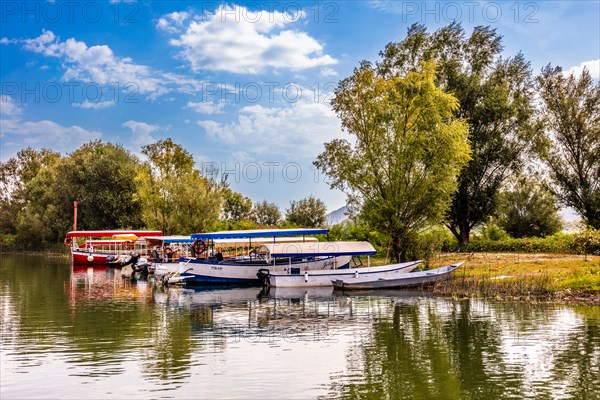 Natural paradise and national park Lake Scutari