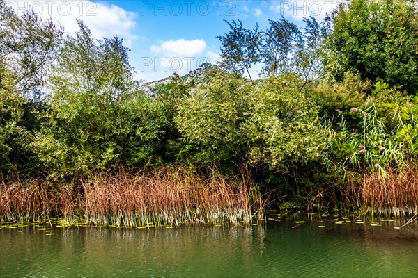 Natural paradise and national park Lake Scutari