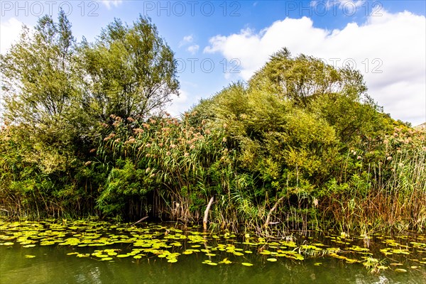 Natural paradise and national park Lake Scutari