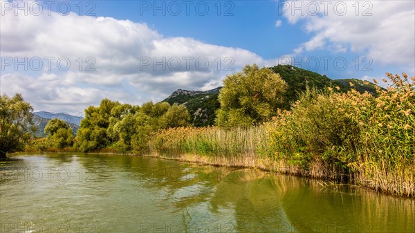 Natural paradise and national park Lake Scutari