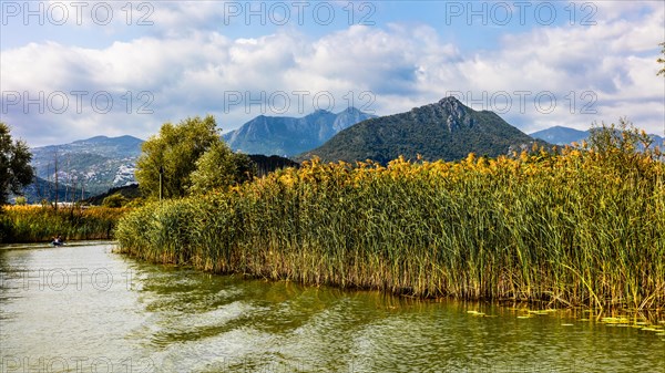 Natural paradise and national park Lake Scutari