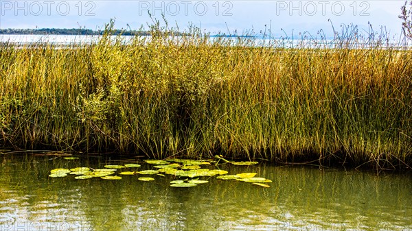 Natural paradise and national park Lake Scutari