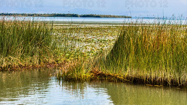 Natural paradise and national park Lake Scutari