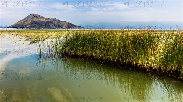 Natural paradise and national park Lake Scutari