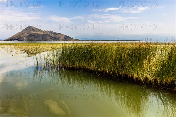 Natural paradise and national park Lake Scutari