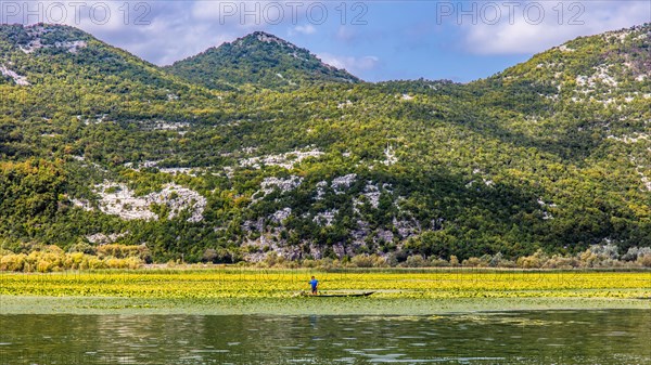 Natural paradise and national park Lake Scutari