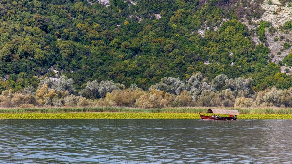 Natural paradise and national park Lake Scutari