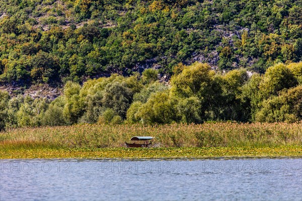 Natural paradise and national park Lake Scutari