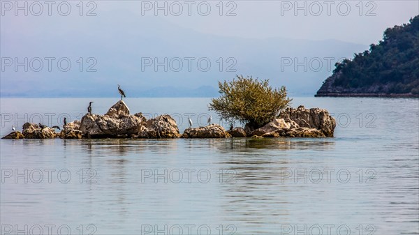 Natural paradise and national park Lake Scutari