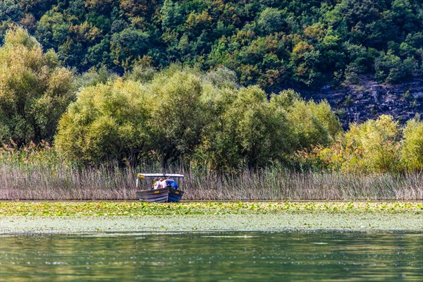 Natural paradise and national park Lake Scutari