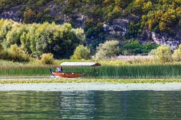 Natural paradise and national park Lake Scutari