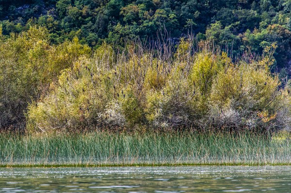 Natural paradise and national park Lake Scutari