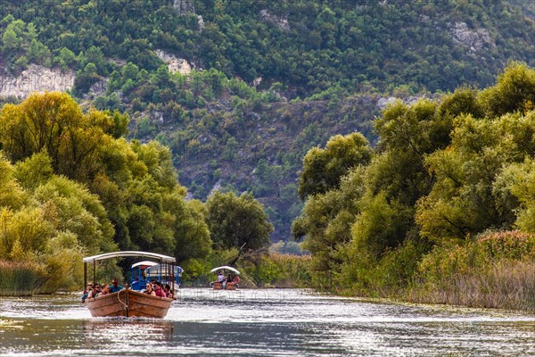 Natural paradise and national park Lake Scutari