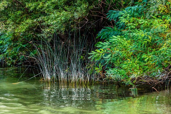 Natural paradise and national park Lake Scutari