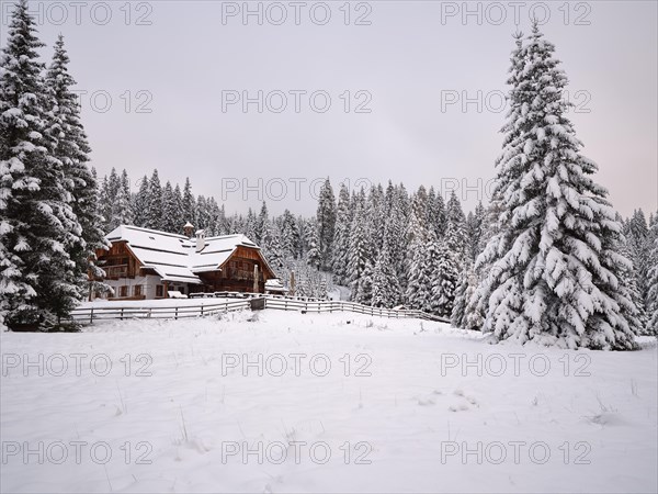 Winter pasture