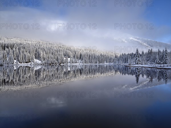 Winter landscape at the Prebersee